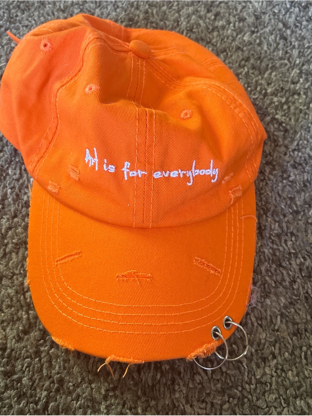 Orange Art Is For Everybody Cap